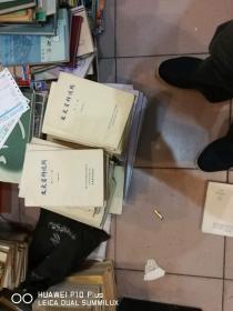 烽火东北 从奉军沿革到实业救国的历史记忆