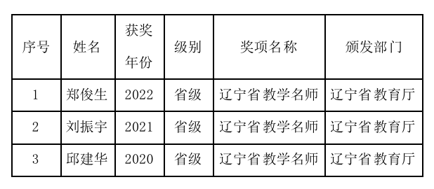 国家级一流本科专业--大连东软信息学院计算机科学与技术